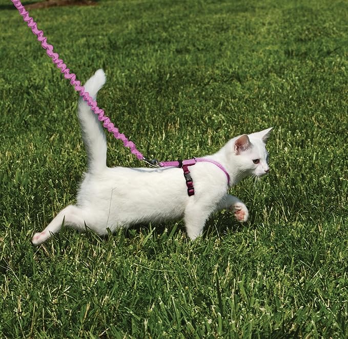 PetSafe Come with Me Kitty Harness and Bungee Leash Adjustable, Lightweight - Image 2