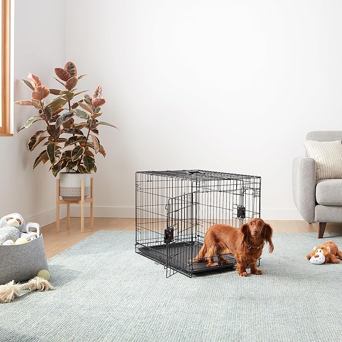 Amazon Basics Portable, Foldable Metal Wire Dog Crate - Image 5