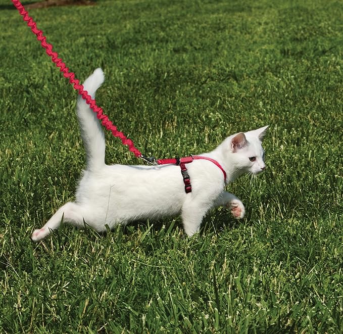 PetSafe Come with Me Kitty Harness and Bungee Leash Adjustable, Lightweight - Image 2