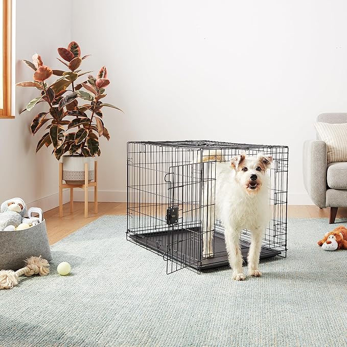 Amazon Basics Portable, Foldable Metal Wire Dog Crate - Image 6