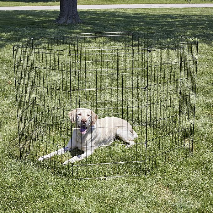 New World by MidWest Homes for Pets 42-Inch Exercise Pen, for Indoor and - Image 2