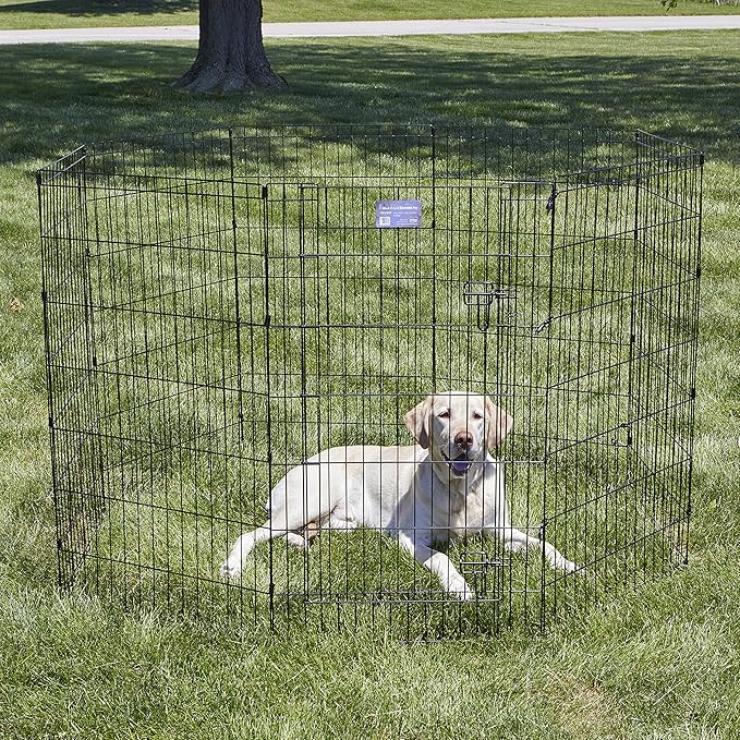 MidWest Homes for Pets 42-Inch Exercise Pen, for Indoor and Outdoor Use - Image 2