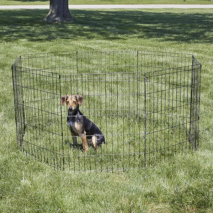 New World by MidWest Homes for Pets 30-Inch Exercise Pen, for Indoor and - Image 2